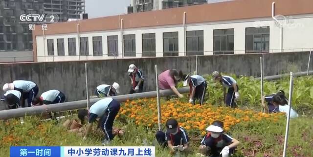 教育部明确，中小学生要学煮饭修家电了！具体怎么学