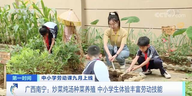 教育部明确，中小学生要学煮饭修家电了！具体怎么学