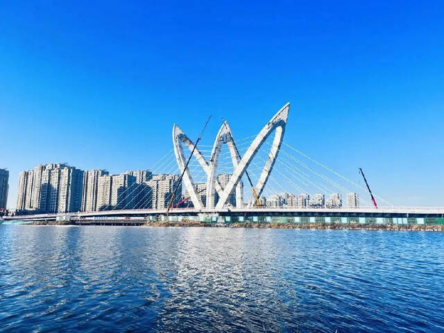 水城开新“莲” 国内首座碳纤维索公路斜拉桥通车