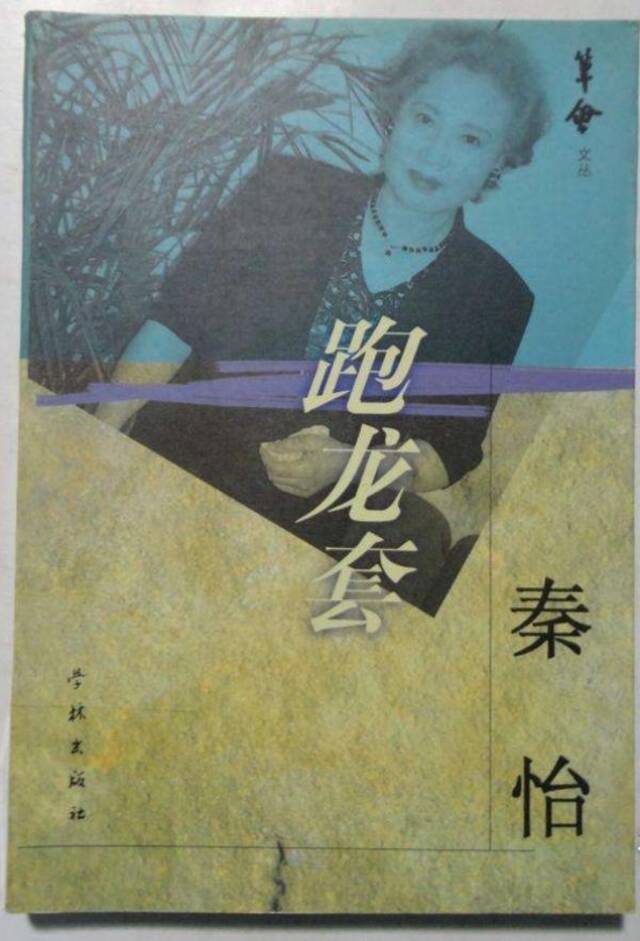 《跑龙套》书影