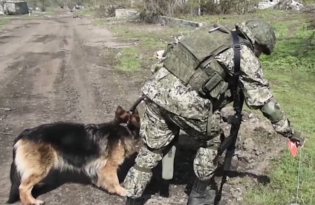俄国防部10日公布的俄军工兵在哈尔科夫州伊久姆地区排雷视频截图