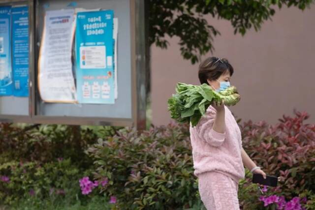 4月22日，上海一市民手举着莴笋回家