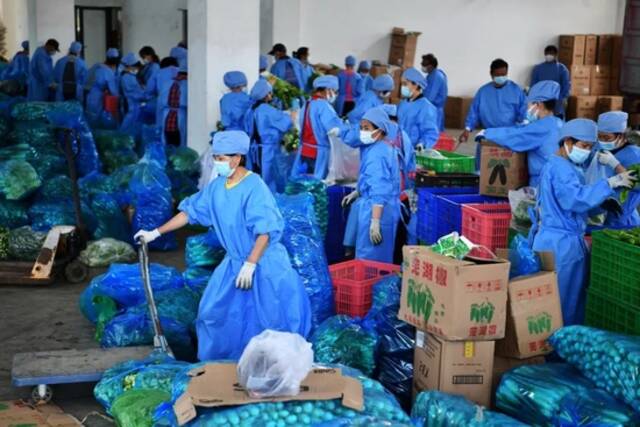 5月3日，上海青浦蔬菜基地，工作人员将蔬菜打包装车（图|人民视觉）