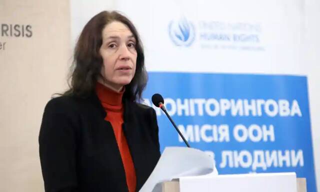 联合国乌克兰人权监测团负责人博格纳（资料图）