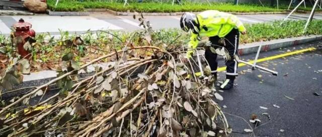 暴雨红色预警生效中！公园暂停游园、易积水路段注意