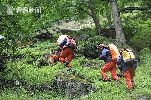 视频｜13人在大理苍山失联 云南森林消防紧急赶赴救援