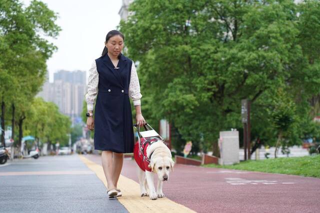 贾君婷仙带着她的导盲犬爱莎出门。新华社记者余刚摄