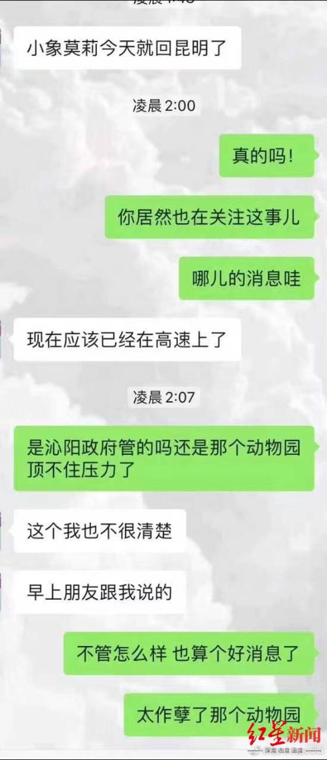 ↑小象“莫莉”送回昆明动物园，志愿者们十分激动