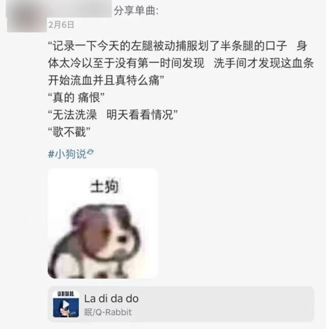 被认为是珈乐使用的网易云音乐账号