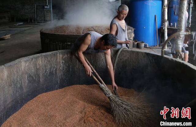 资料图：酿酒师傅正在进行古法酿酒的第一道工序——浸米。王磊摄