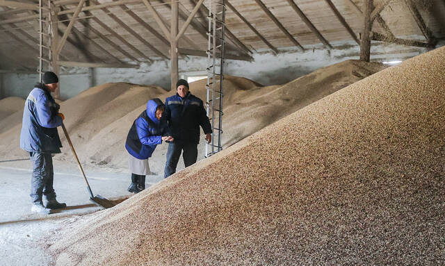 当地时间2022年3月15日，克里米亚，工作人员在粮仓倾倒谷物。乌克兰冲突冲击全球谷物市场，导致粮价攀升、食品价格上涨。