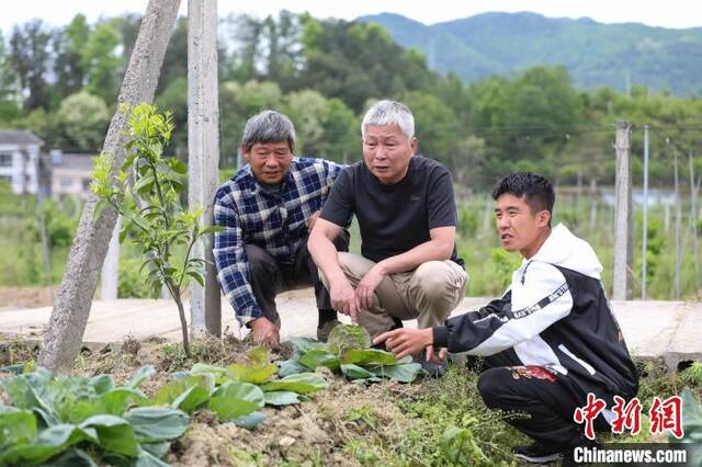 图为何惠廸与工作人员查看果树和蔬菜的长势。瞿宏伦摄