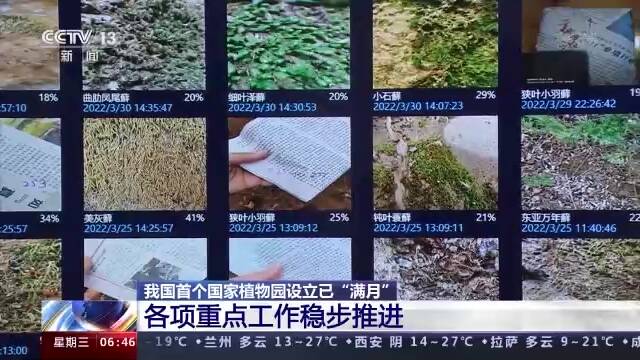 我国首个国家植物园设立已“满月”各项重点工作进展如何？