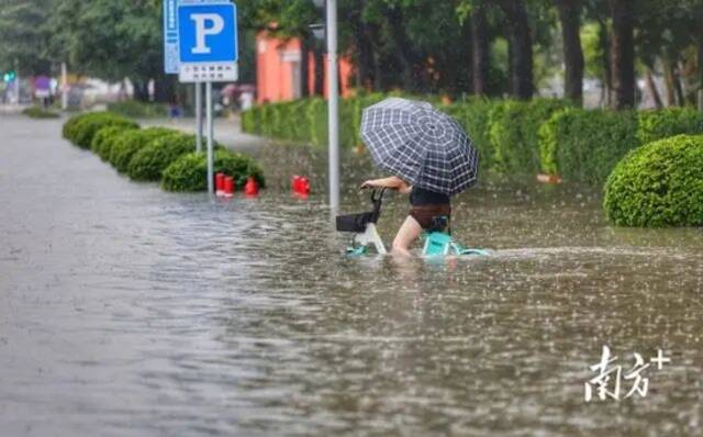 广东暴雨周末上线！广州“龙舟水”6连击时间表来了