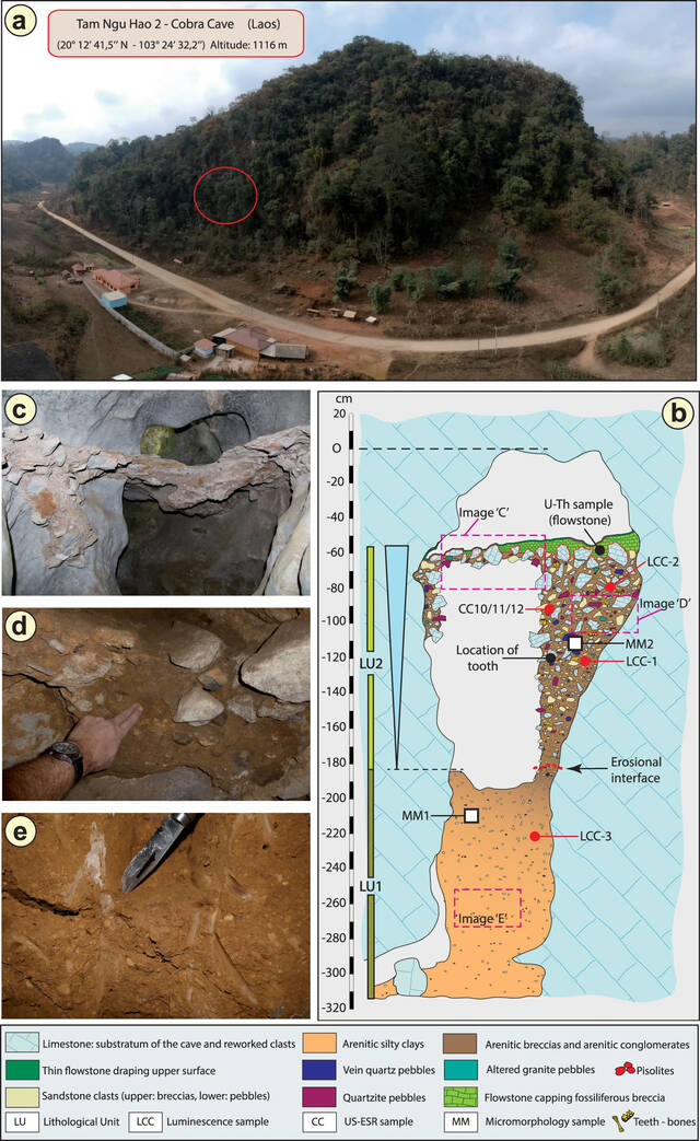 老挝Tam Ngu Hao 2洞穴发现更新世中期古人类臼齿可能来自年轻的女性丹尼索瓦人