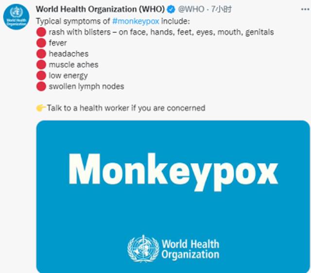 11个国家80人确诊猴痘，WHO欧洲官员担忧夏季传播恐加快