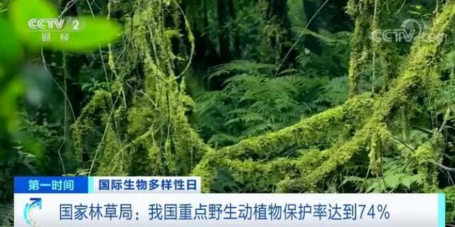 国家林草局：我国重点野生动植物保护率达到74%