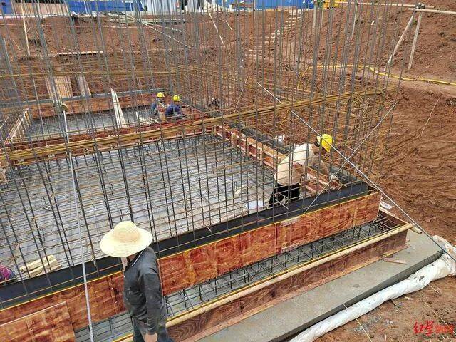 三封寺镇辅安村芥菜腌制池建设点，工人正在忙碌。（图源红星新闻）