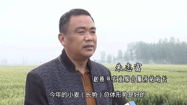 新华视点｜农技人员走入田间地头保夏粮丰产丰收