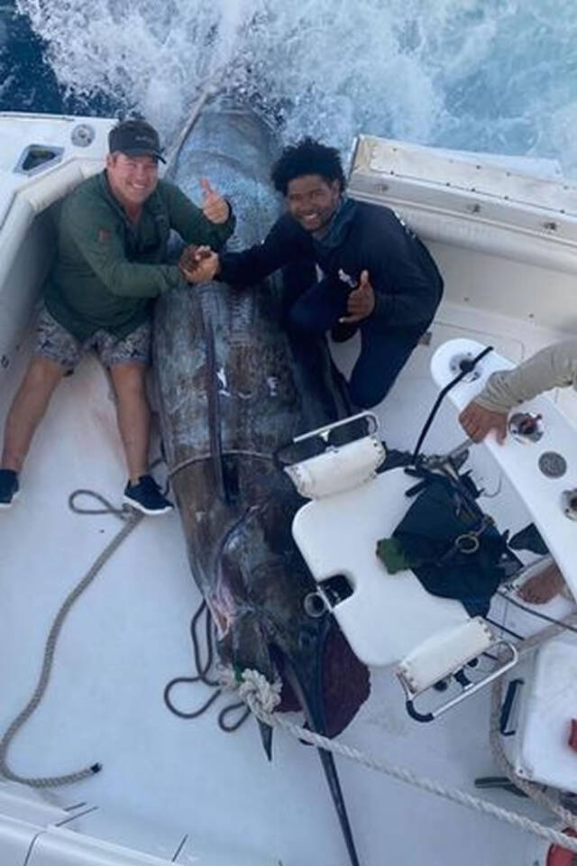 南非渔民捕获重达621公斤大西洋蓝枪鱼是有史以来在大西洋捕到的第二大巨鱼