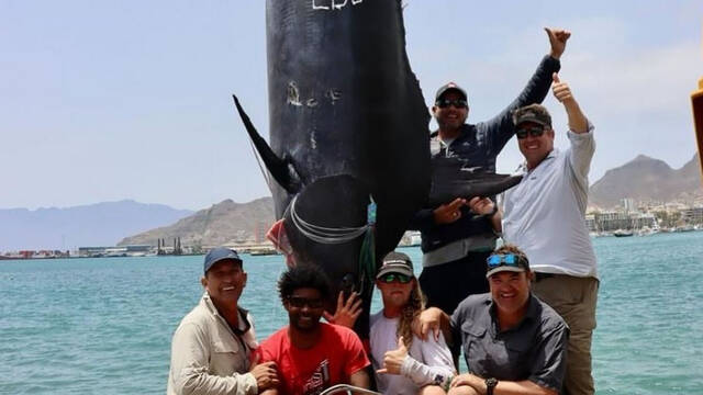 南非渔民捕获重达621公斤大西洋蓝枪鱼是有史以来在大西洋捕到的第二大巨鱼