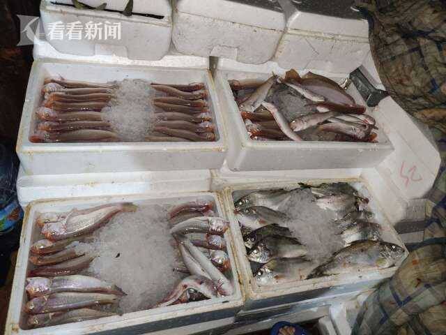 视频｜可疑渔船正在非法收购渔获物，查！