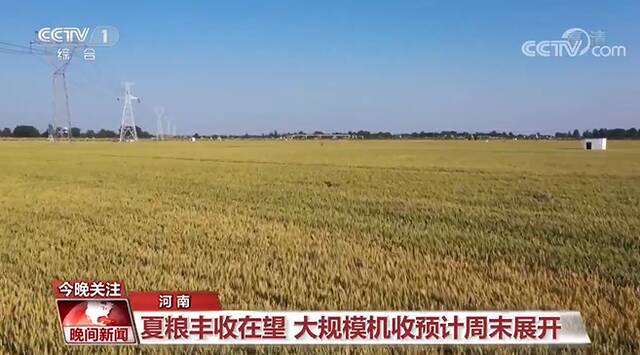 我国夏粮主产区大面积机收即将展开 各地千方百计抢农时、拓产能