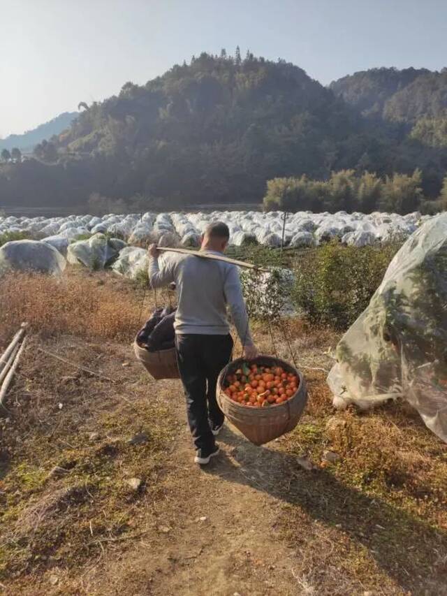 去吗？去啊！到我的家乡走走