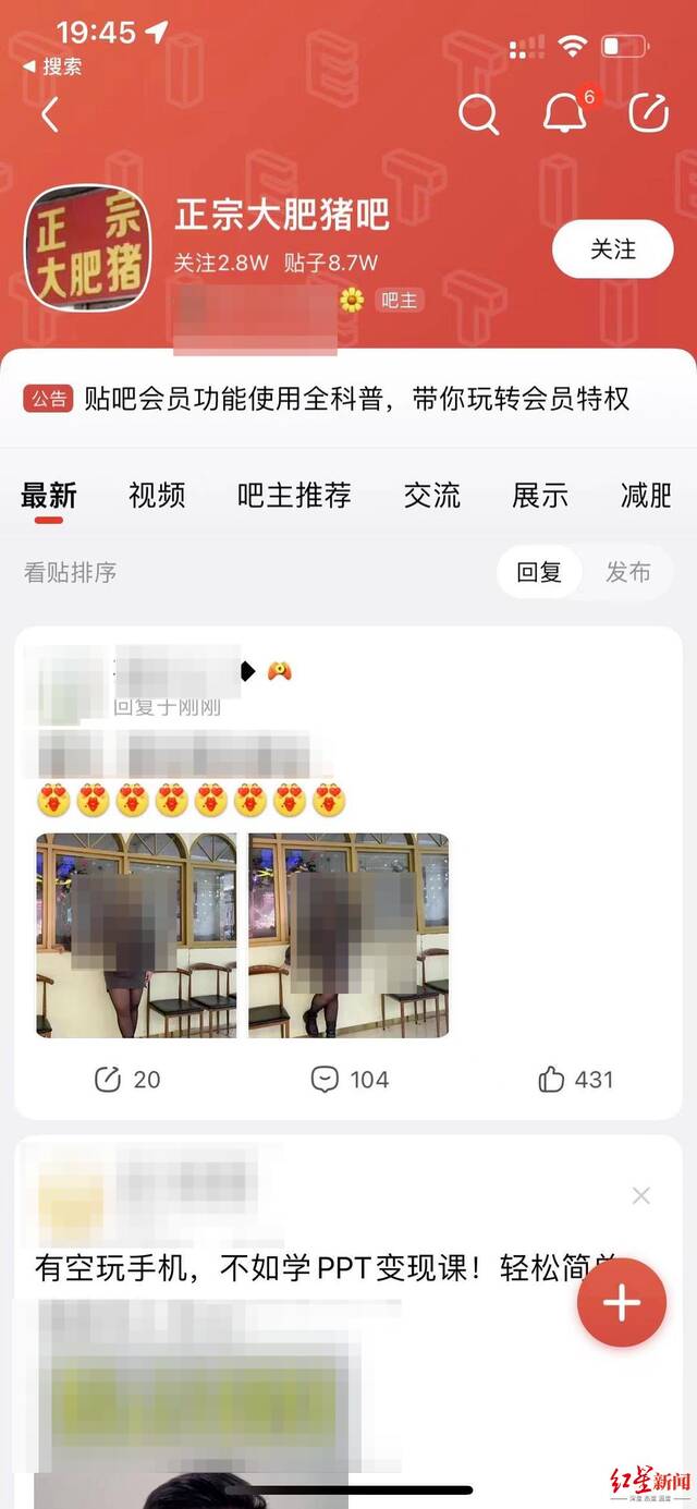 ↑百度贴吧里的“正宗大肥猪”吧网页截图