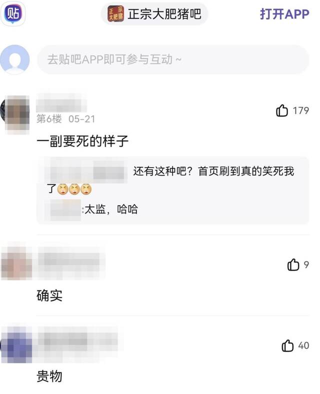 百度“正宗大肥猪”吧对肥胖人士评头论足，甚至恶语