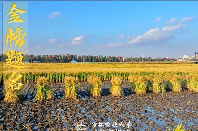 高考加油！我在吉林农大等你！