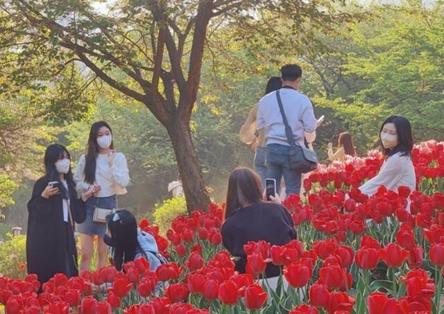 韩国民众在首尔一处公园内游玩（资料图）