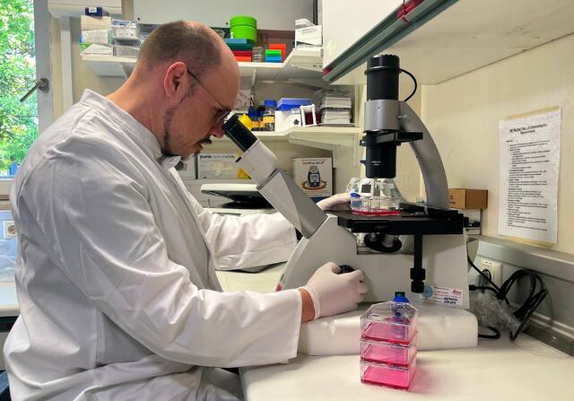 当地时间 2022年 5月 20日，德国慕尼黑，德国发现猴痘病例后，医生Roman Woelfel在实验室对病毒进行研究。图/IC photo