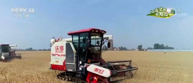 在希望的田野上·三夏时节  夏粮主产区夏收进度加快 确保颗粒归仓