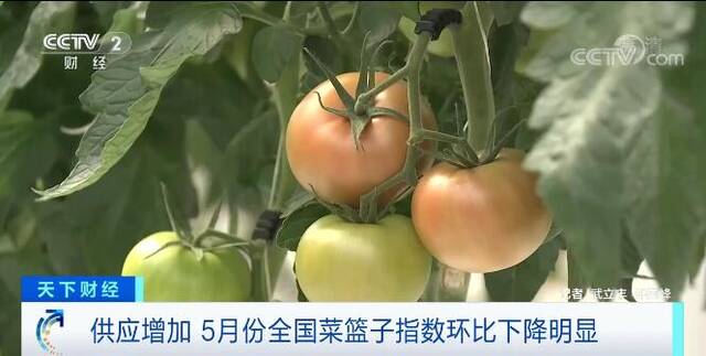 供应量增加 5月份全国菜篮子指数环比下降明显