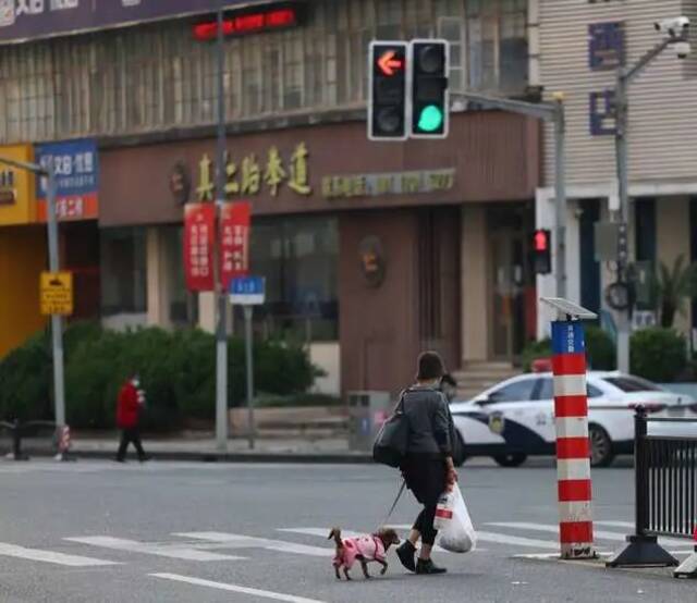 电话亭女士和她的小狗参考资料：中国青年报