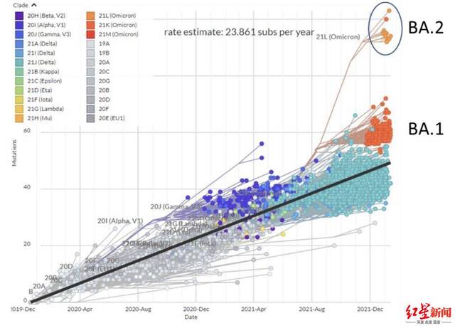 ▲奥密克戎偏离原来的进化速率主轴较远