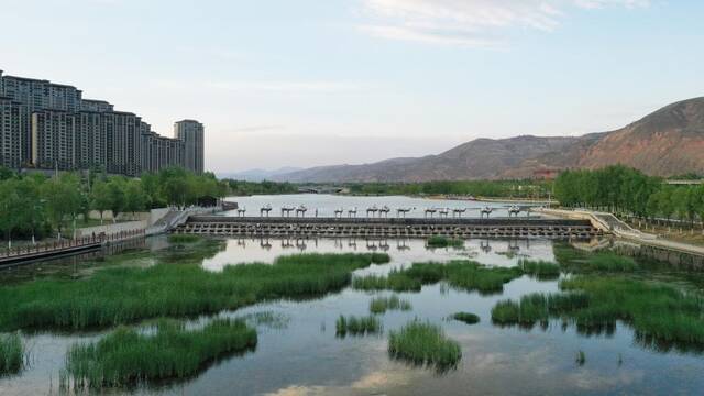这是6月1日拍摄的西宁北川河湿地公园（无人机照片）。新华社记者李占轶摄