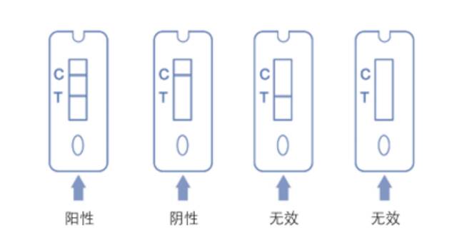 核酸检测为啥会有