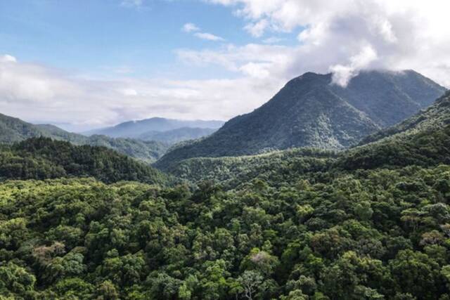 这是5月19日拍摄的海南热带雨林国家公园五指山片区（无人机照片）。新华社记者张丽芸摄