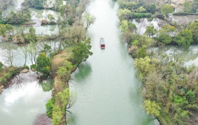游船行驶在西溪湿地水道上（2021年3月2日摄，无人机照片）。新华社记者翁忻旸摄
