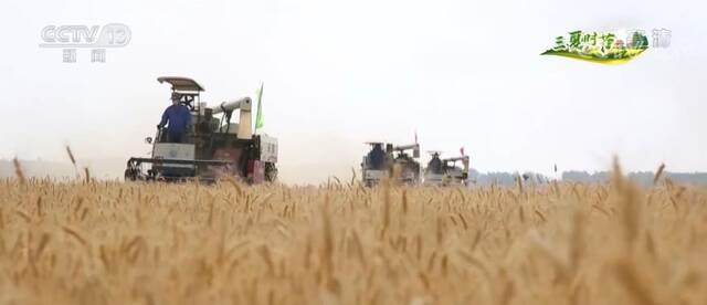 在希望的田野上·三夏时节  稳产提质 全国已收获小麦超1亿亩