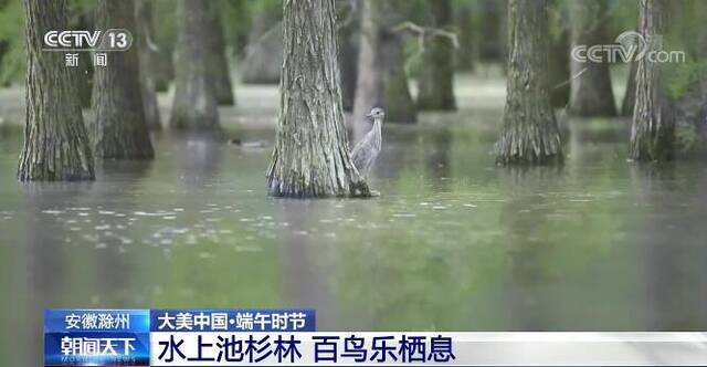 大美中国  端午时节纵览祖国各地美景