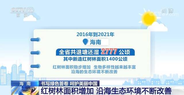 书写绿色答卷 呵护美丽中国  海南红树林面积逐年增加 沿海生态环境不断改善