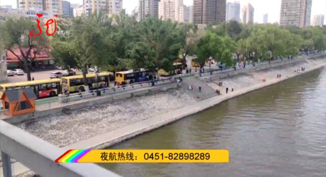视频记录！哈尔滨中东铁路桥上，一女孩纵身跃入松花江，仍在搜救……