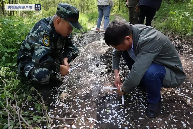 黑龙江穆棱林区发现“完达山一号”踪迹