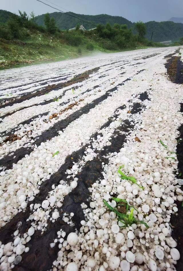 河北承德市部分地区遇冰雹灾害 有房屋受损村民紧急转移