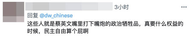 港媒：在台”黄丝“发现被骗后，有人已“二次流亡”到西方