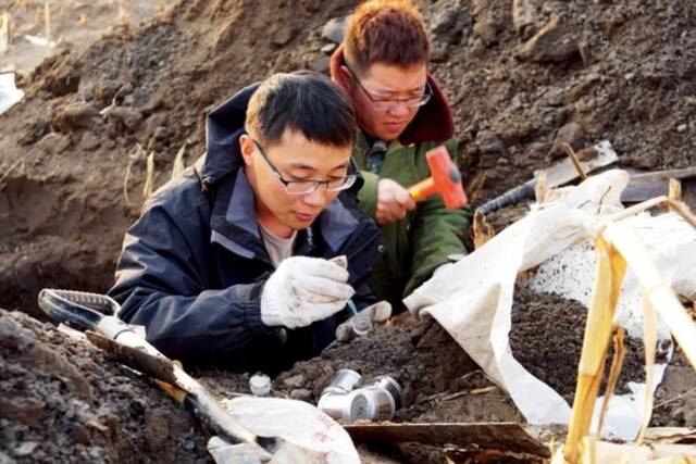 中科院沈阳应用生态研究所张旭东研究员团队成员在保护性耕作研发基地采集土壤剖面标本和深层土壤样品。