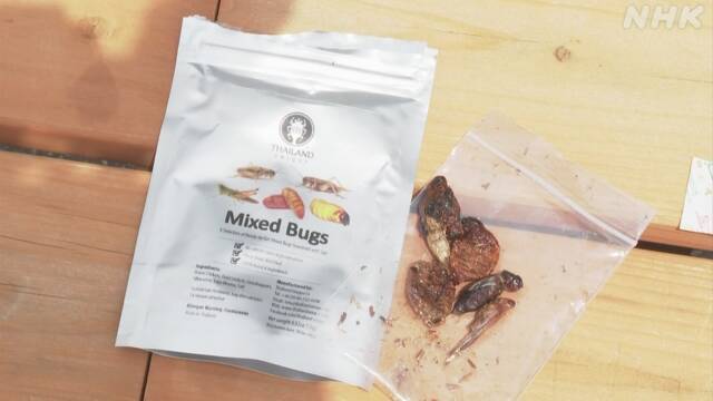 日本长野县推出的混合昆虫零食（日本NHK电视台）